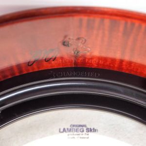 c11-79936bb8 ::bodhran-info:: - The ChangeHED System