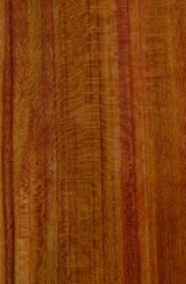 Plumtree-b2555eba image Pflaumenbaum